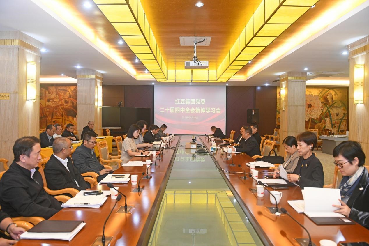 二十屆四中全會精神1